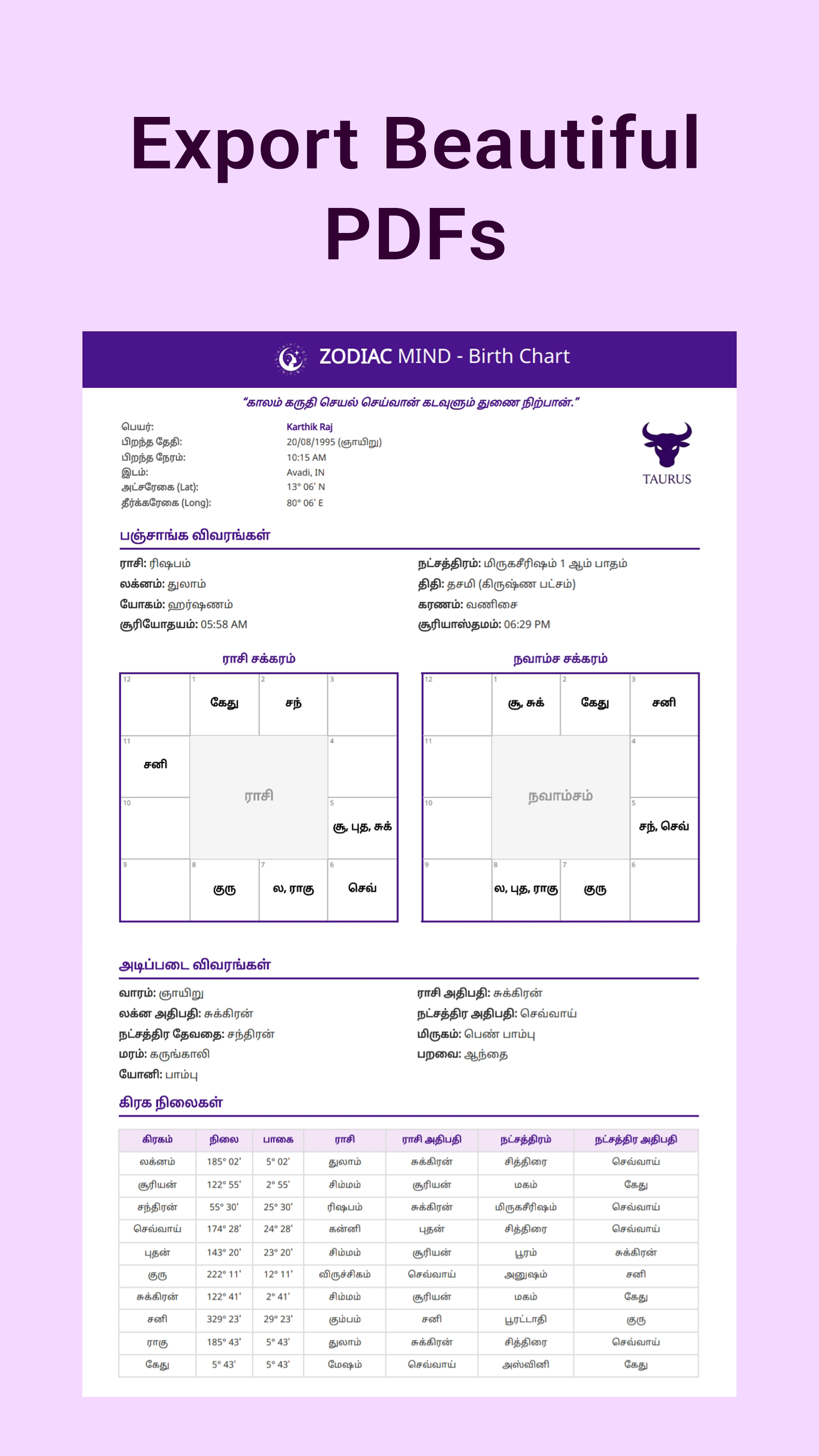 PDF export report preview